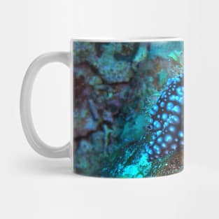 Nudibranch Mug